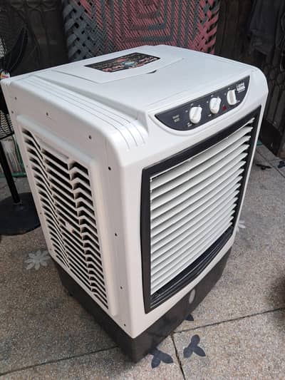 I zone air cooler