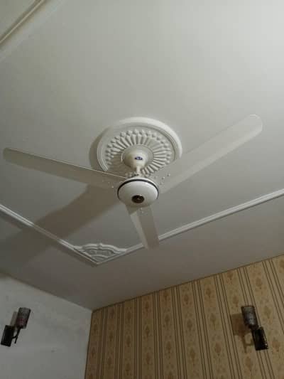 Pak ceiling fan