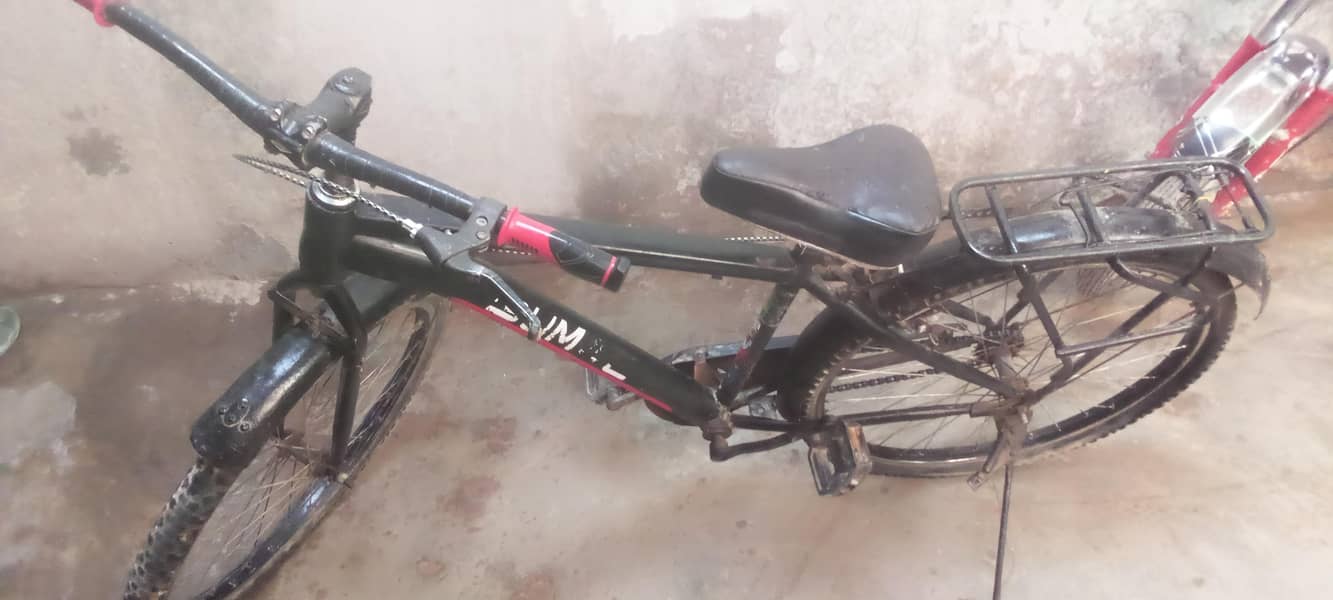 Bicycle 1