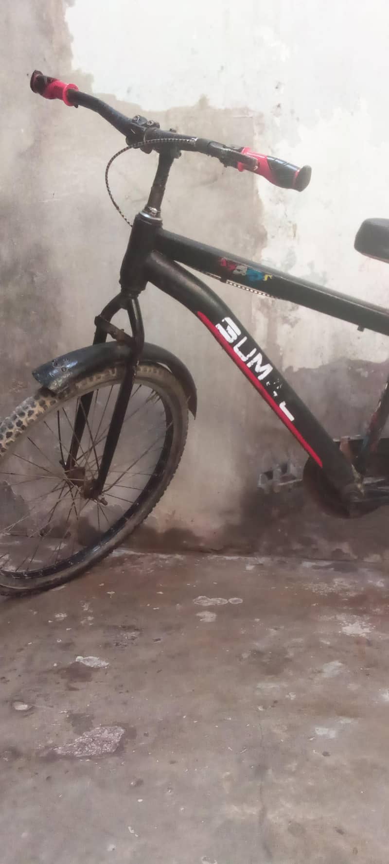 Bicycle 5