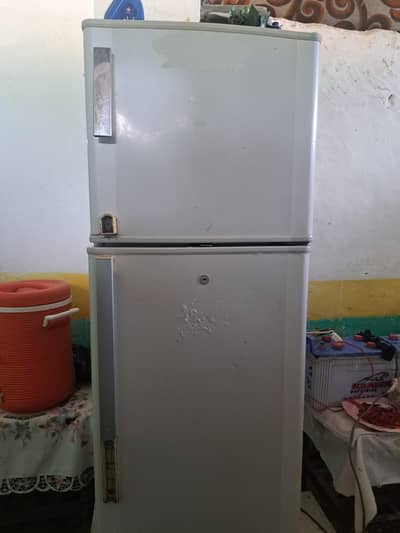 normal size fridge