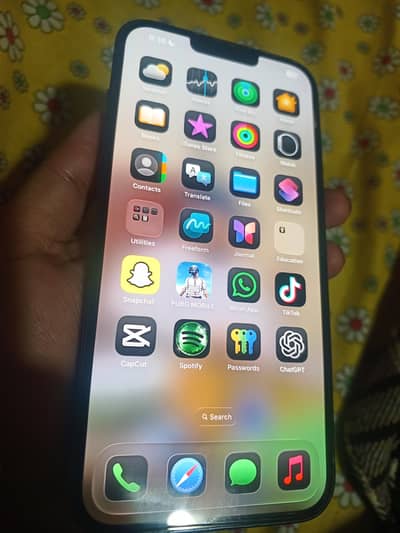 Apple iPhone 13 Pro Max jV