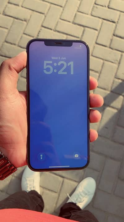 iPhone 12 Pro Max JV 256GB | 10/10 Condition