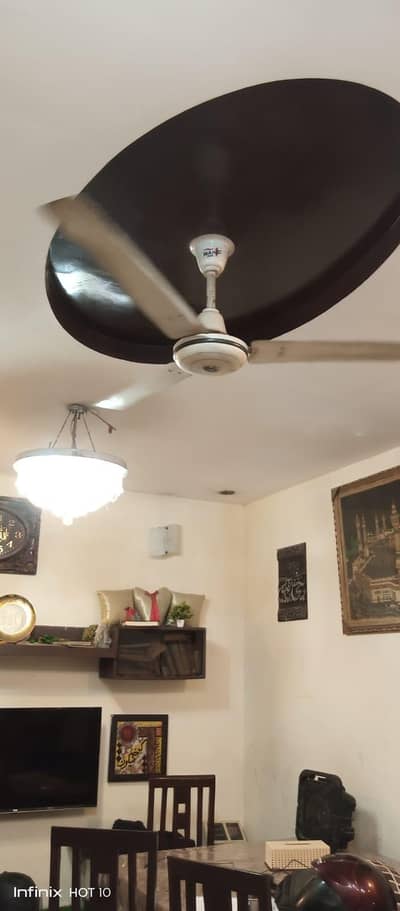 Celing Fan