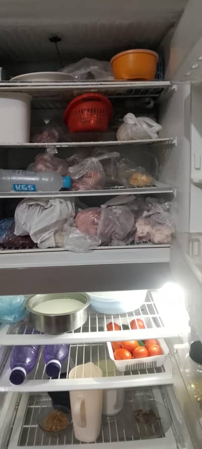 pel refrigerator
