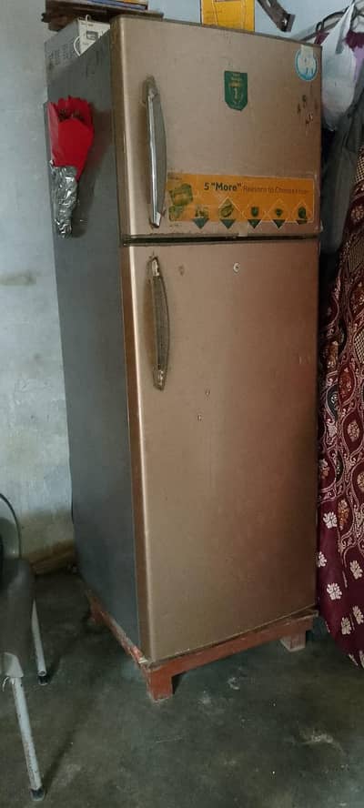 Hair Refrigerator Medium size