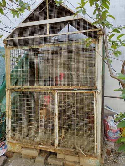 cage/pinjra available for birds and hen heavy weight