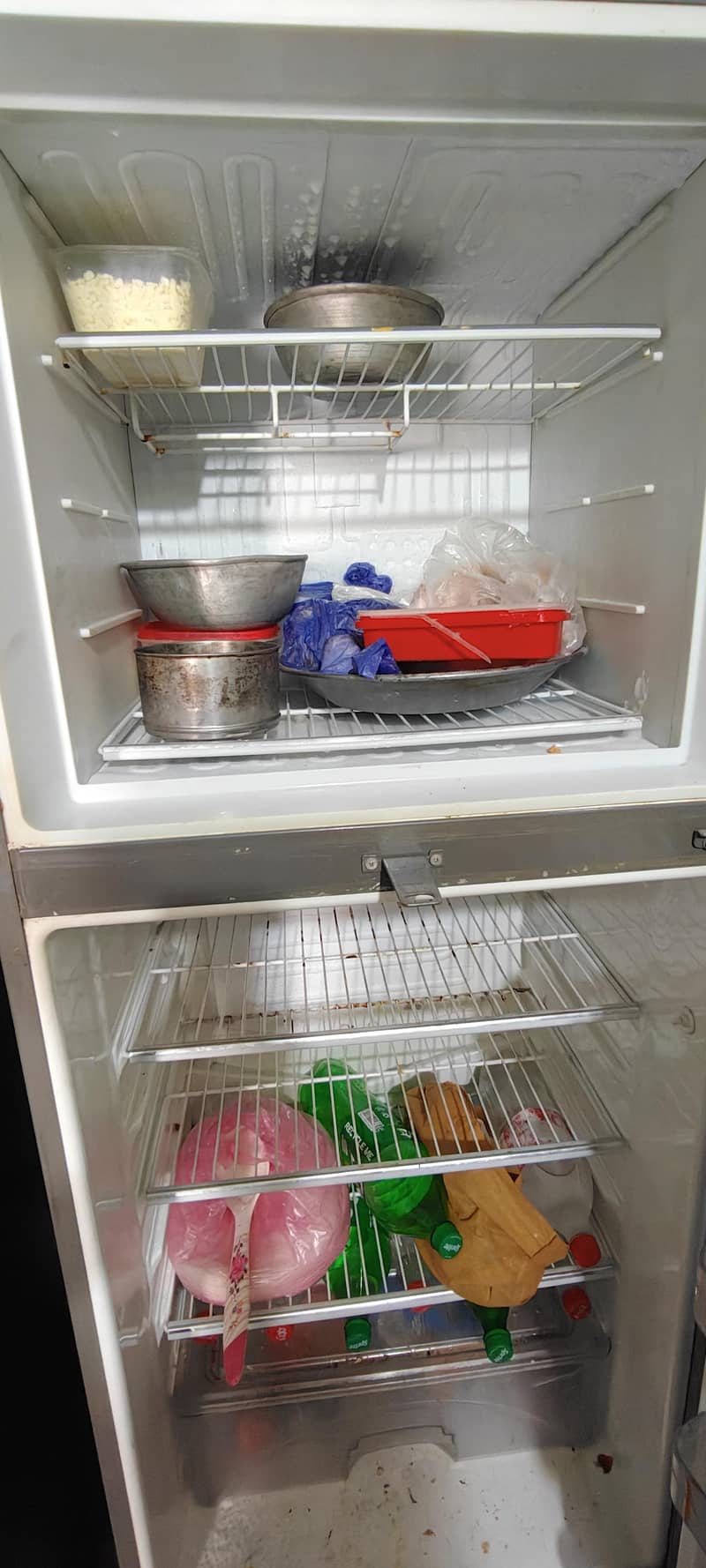 freezer 1