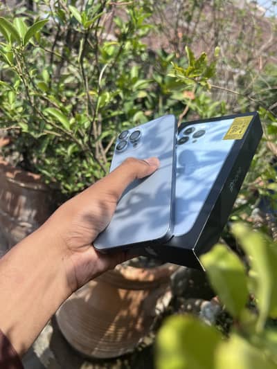 Apple iPhone 13 Pro Max official PTA approved