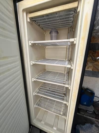 vertical deep freezer 03219494153