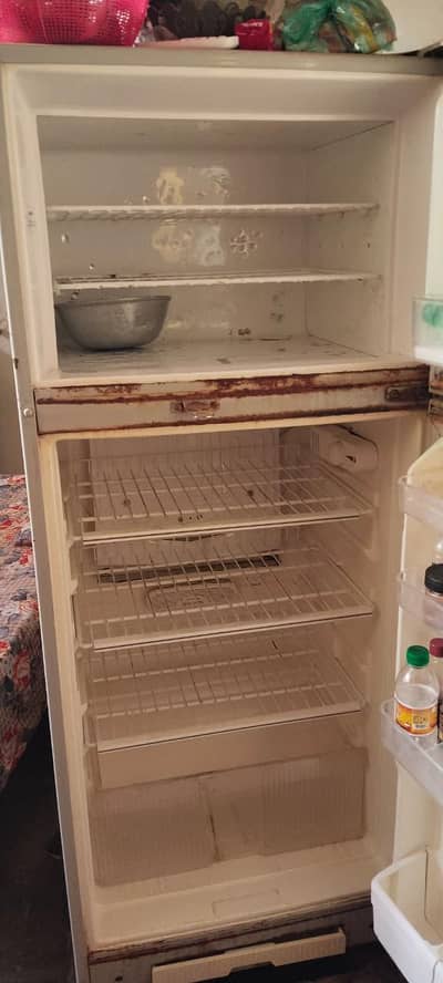 fridge