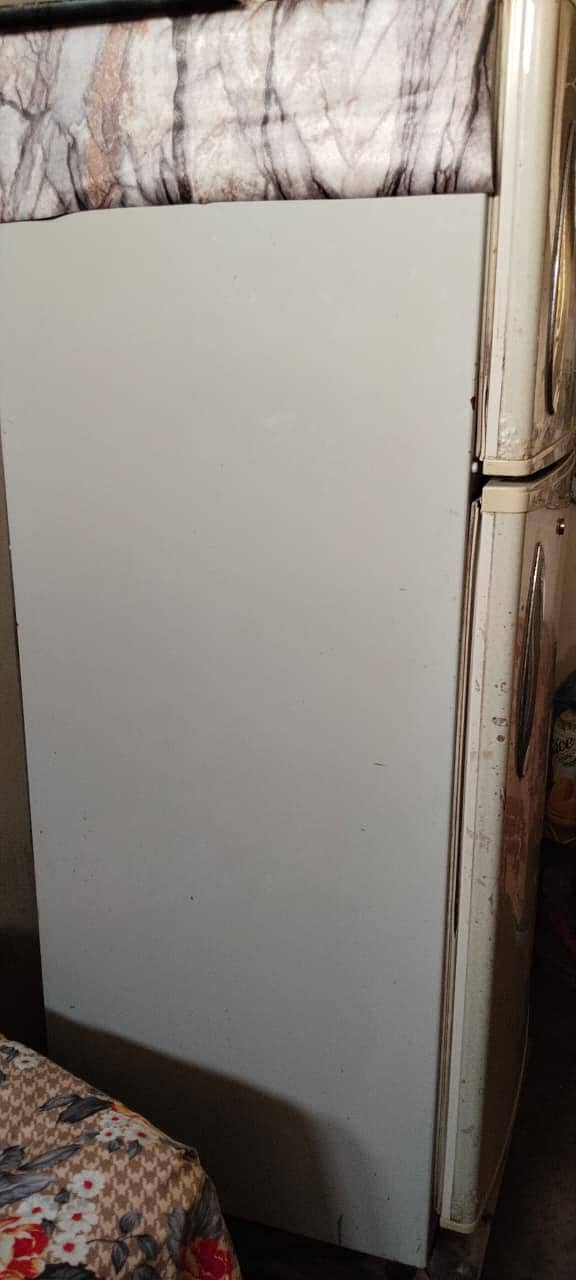 fridge 2