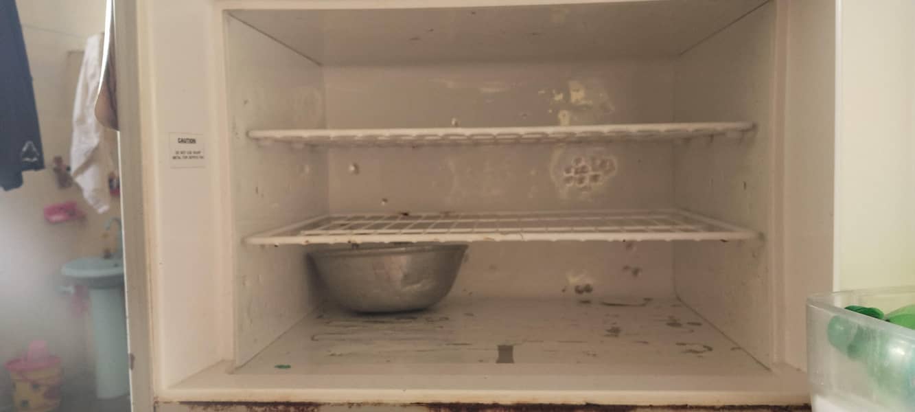 fridge 3