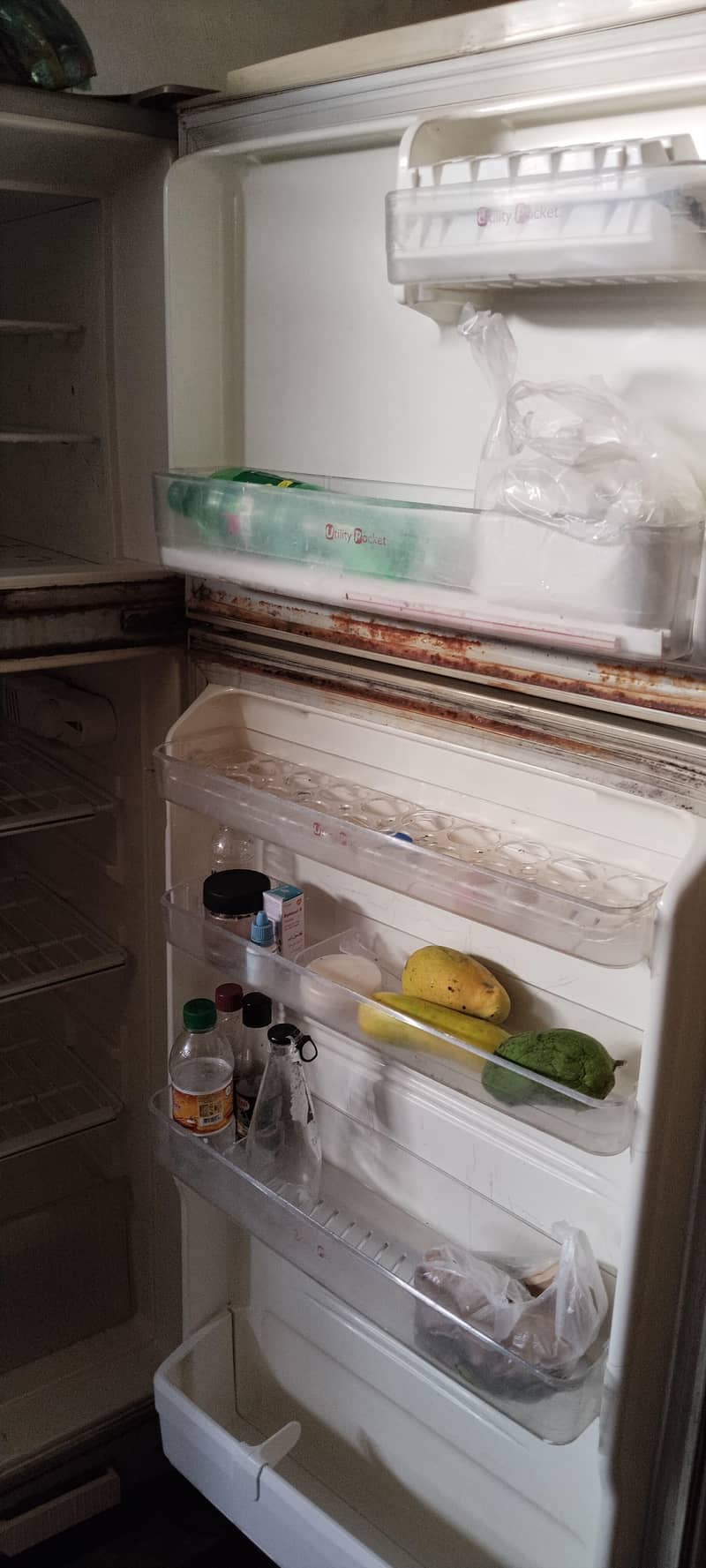 fridge 4