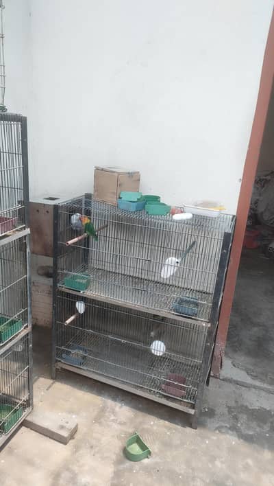 Hogoromo lovebirds Cage