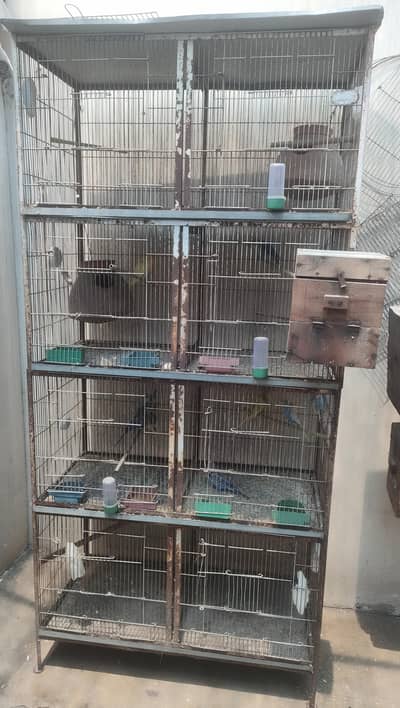 lovebirds And Cage for sale