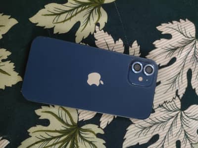 iphone 12 128GB Non-PTA | With 2 Months Sim Time