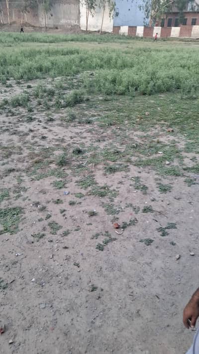 plats for sell in zafarwal in emerjancy 03055842348
