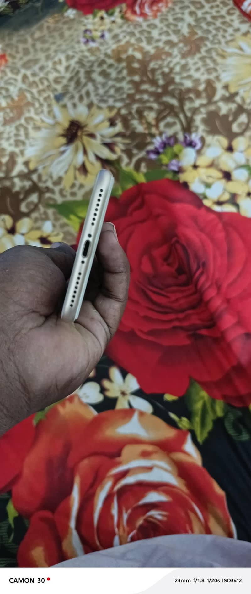 Apple iPhone 8 Plus 1