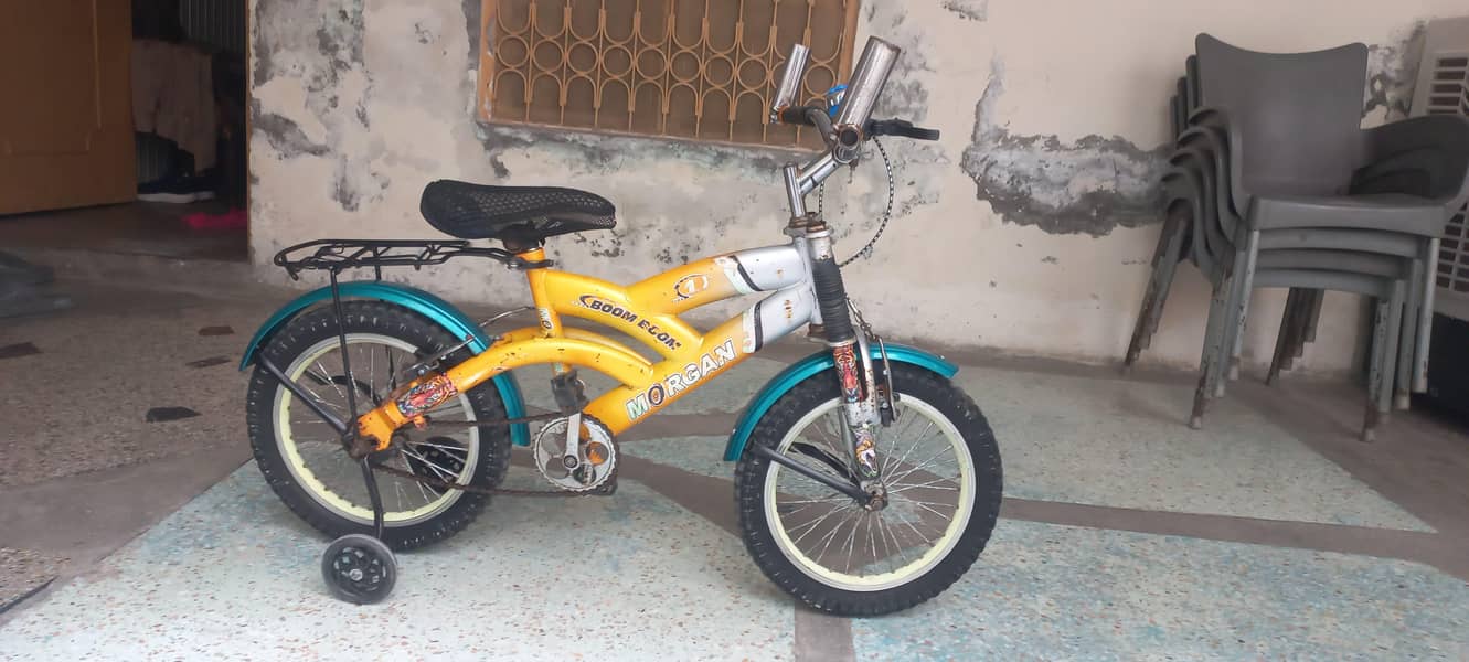 bicycle 2