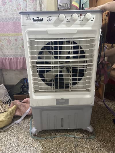 Air cooler