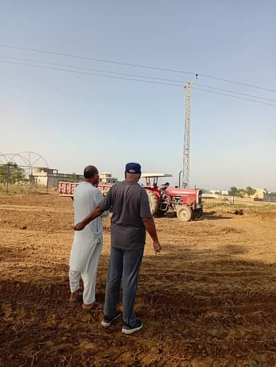 Agricultural farm for rent