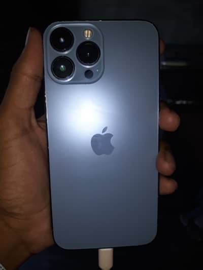 13 pro max