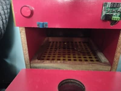 Incubator for sale