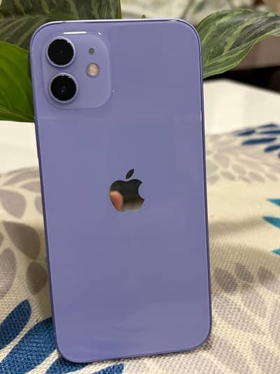Apple iPhone 12