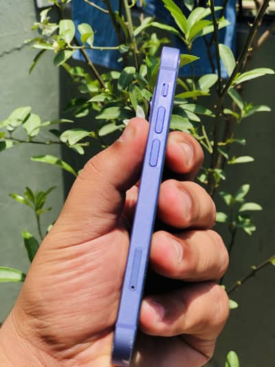 Apple iPhone 12 mini