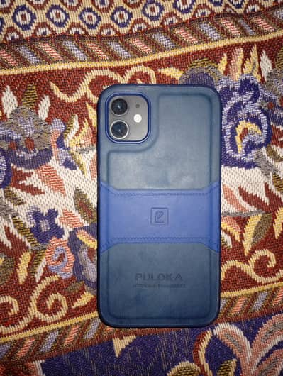 iPhone 11 waterpack