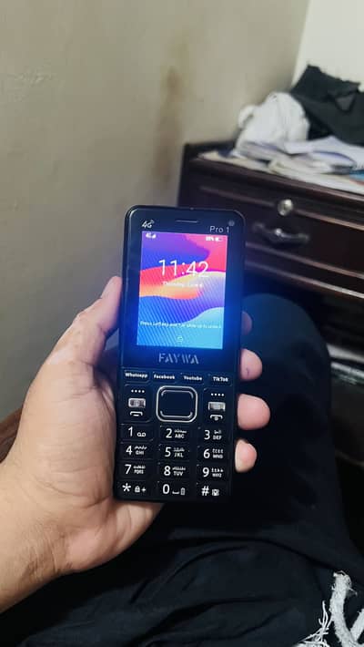 Faywa Pro 1