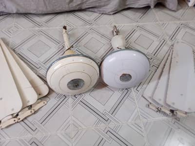 celling fan