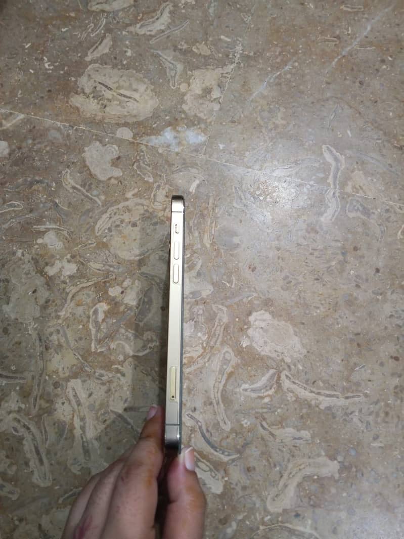 iPhone 12 Pro 3