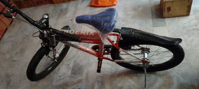 Brand new phoenix MTB 24" Cycle