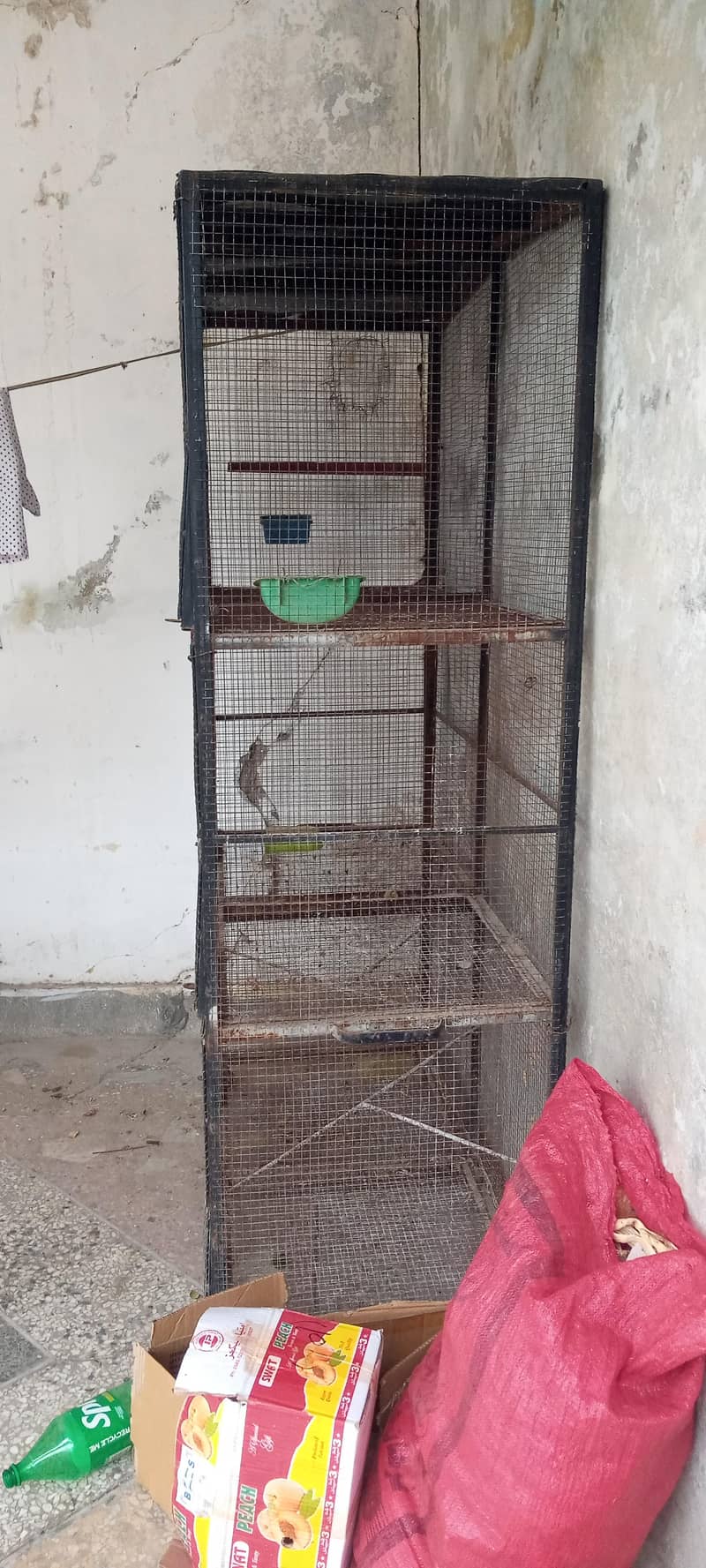بڑا برڈ بریڈنگ کیج / آئرن برڈ کیج فروخت کے لیے 2