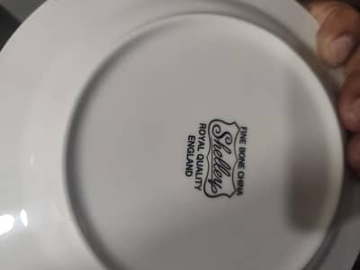 Original Fine Bone China Shelley Company imported