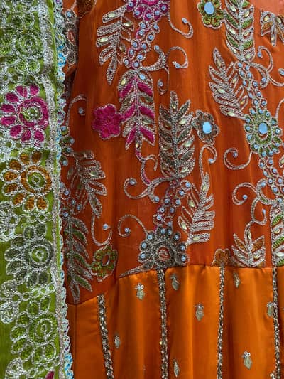 Pannal froq whit embroidery