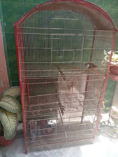 BIRDS CAGE