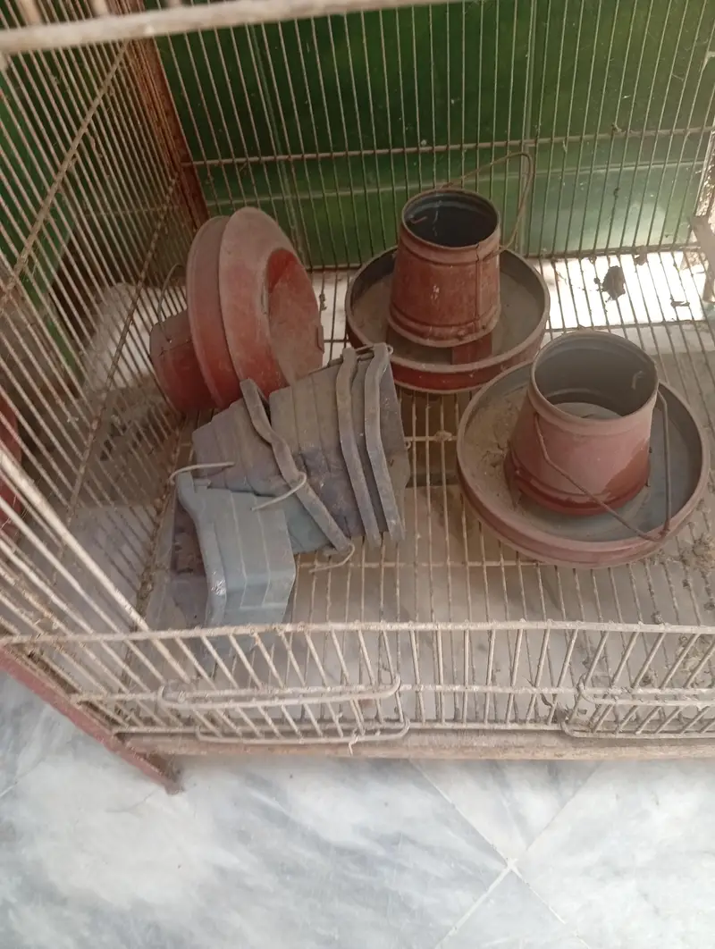BIRDS CAGE — photo 2