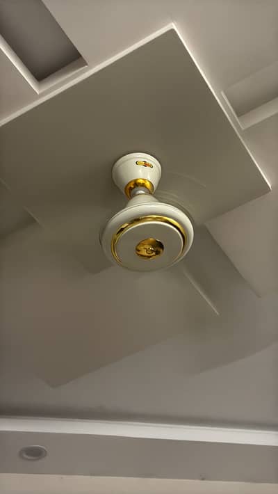 Super Asia 80 watt 100 percent copper fan