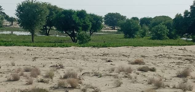 You Can Find A Gorgeous Residential Plot For Sale In Mouza Chukain