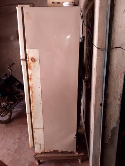 fridge