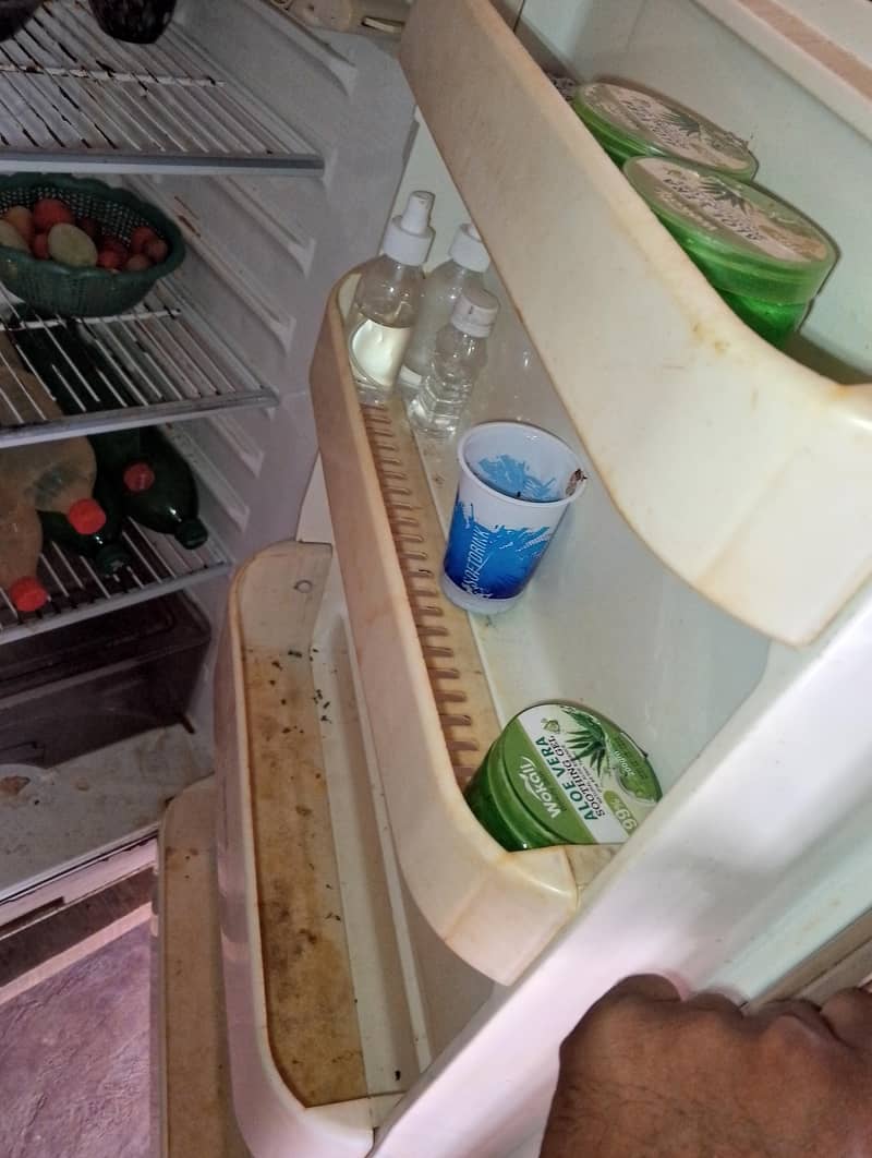 fridge 2