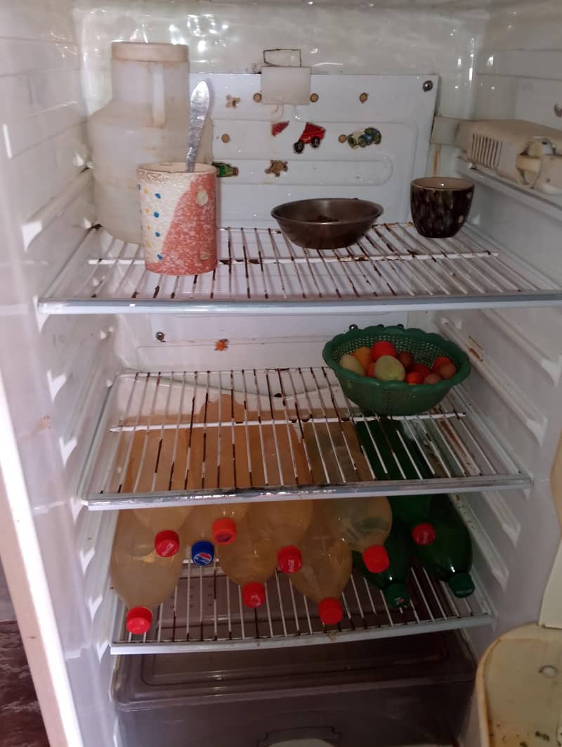 fridge 3