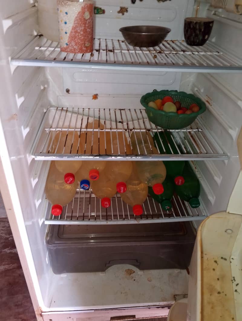 fridge 4