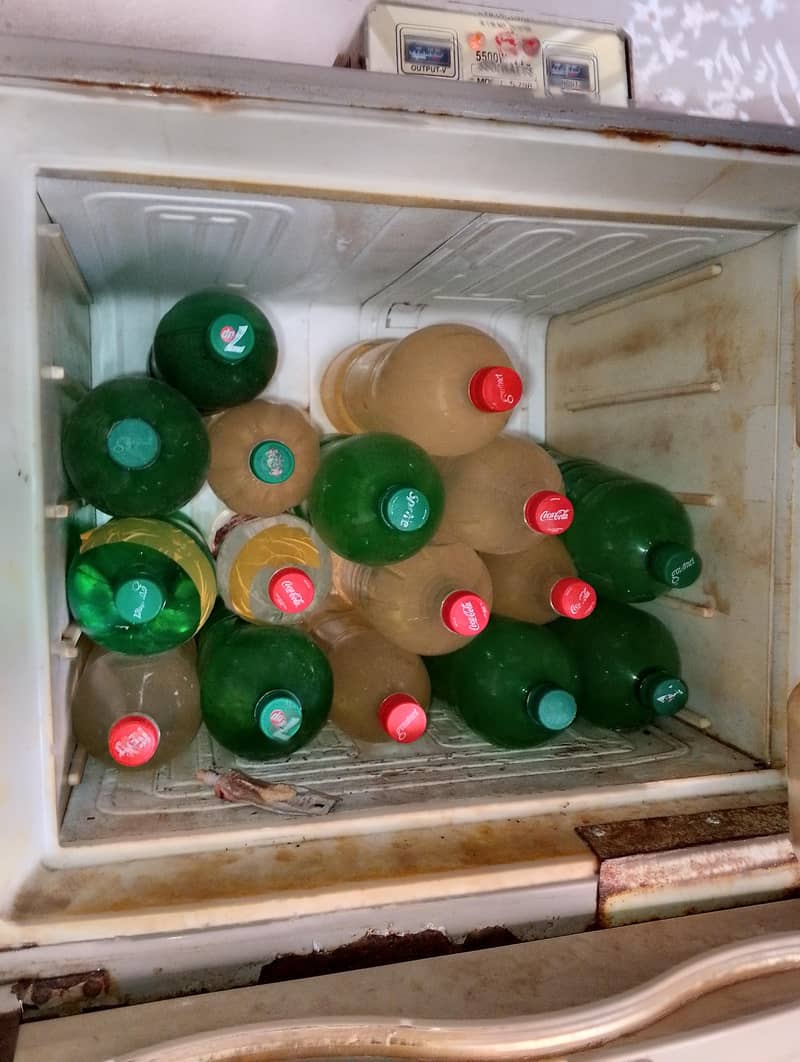 fridge 5