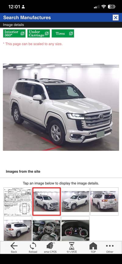 Land Cruiser AX LC 300