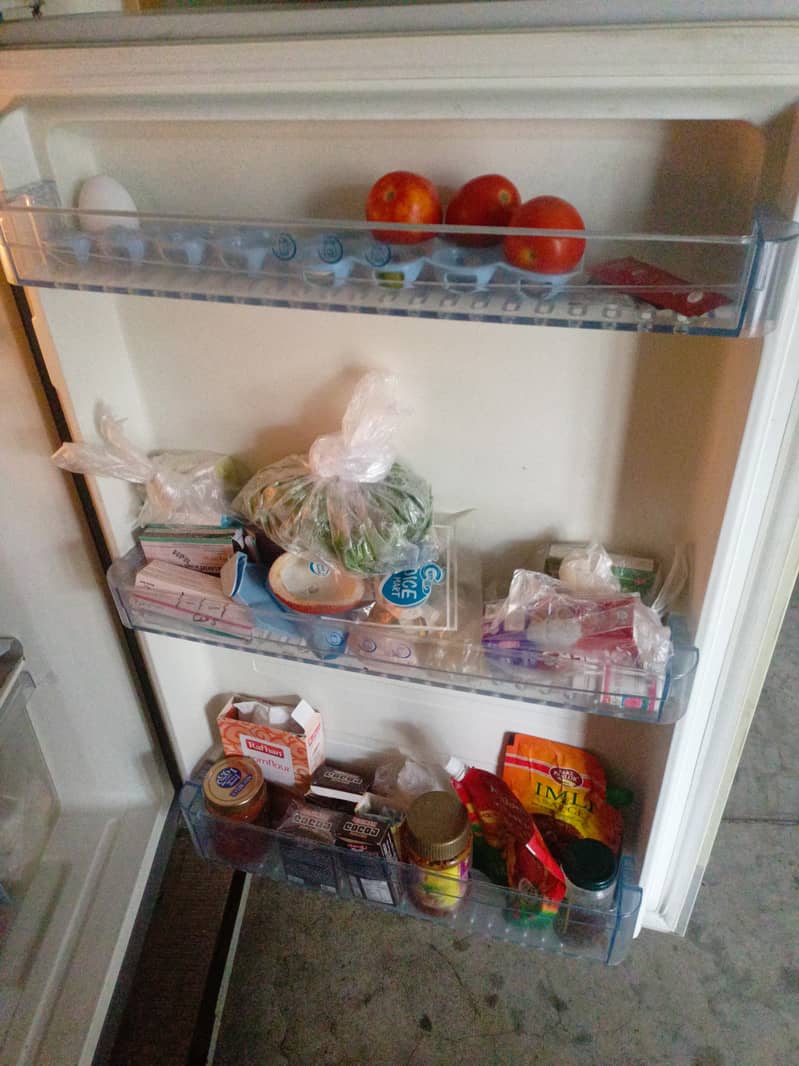 Fridge 3