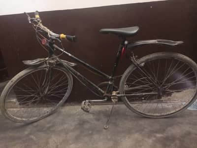 sports cycle